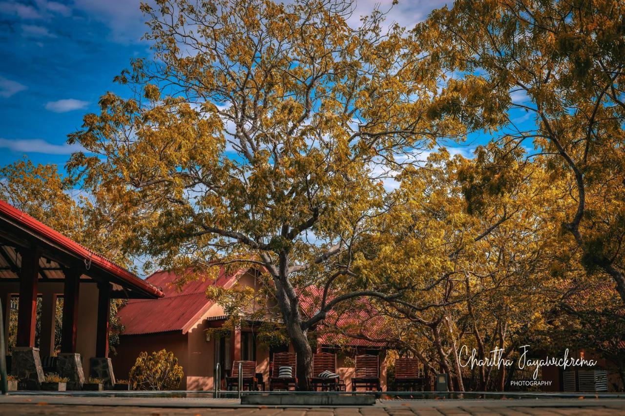 Yala Chalets By Lalan Leisure Kirinda  Zewnętrze zdjęcie