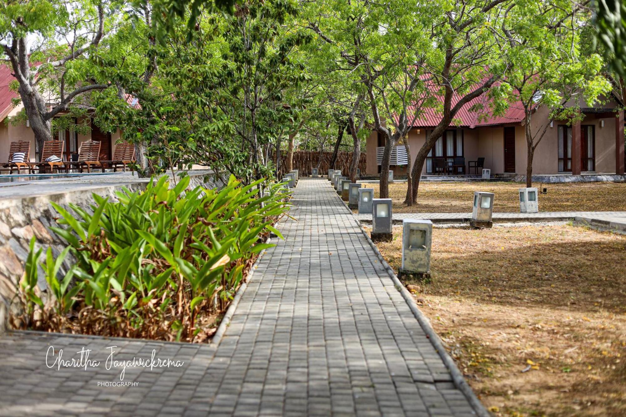 Yala Chalets By Lalan Leisure Kirinda  Zewnętrze zdjęcie